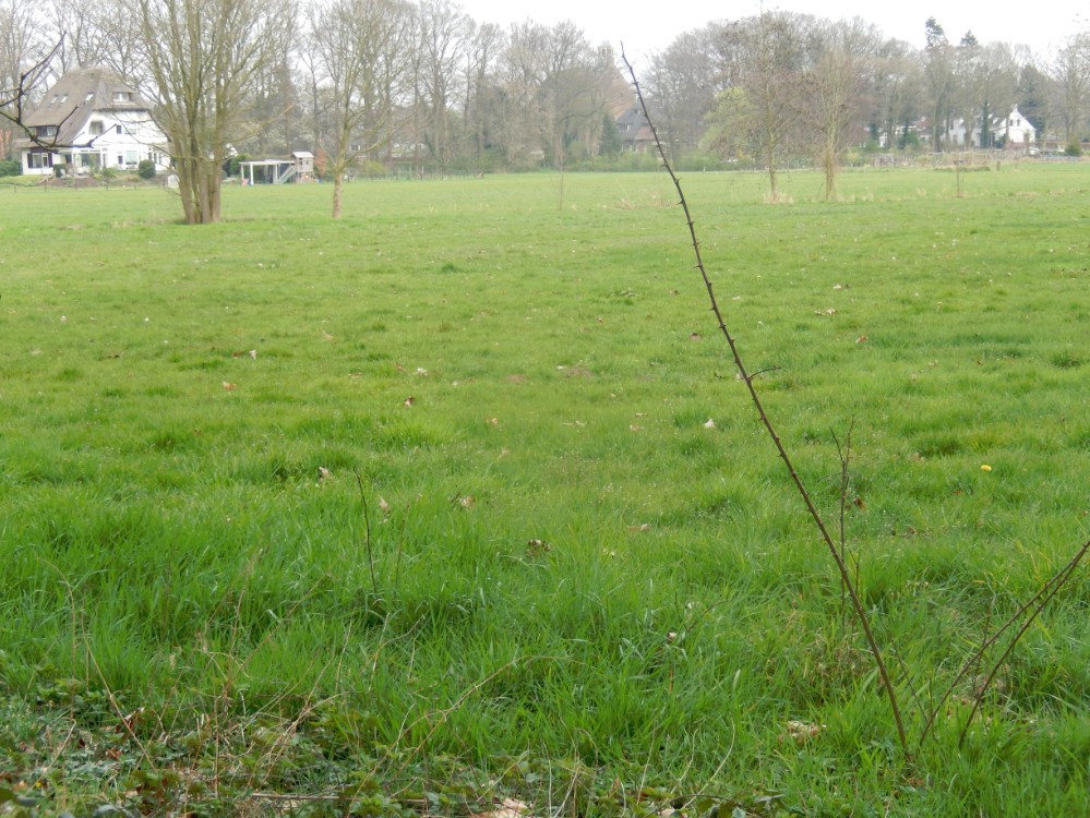 Diepenveen_Rande_Kuierroute_0150