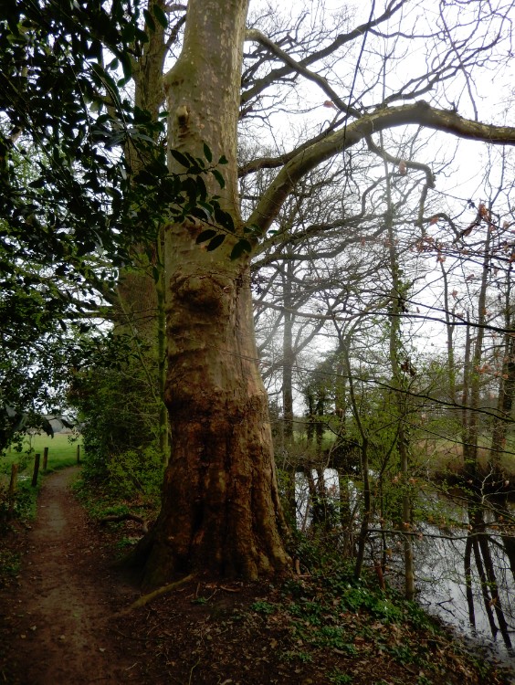 Diepenveen_Rande_Kuierroute_0151