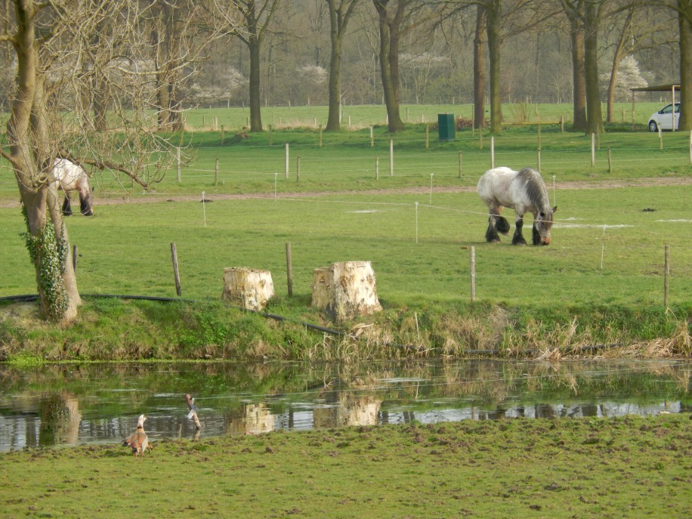 Diepenveen_Rande_Kuierroute_0159