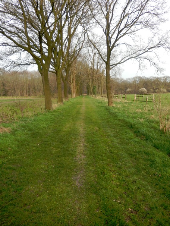 Diepenveen_Rande_Kuierroute_0166