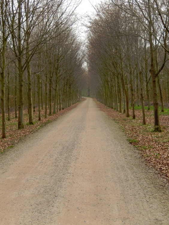 Diepenveen_Rande_Kuierroute_0167