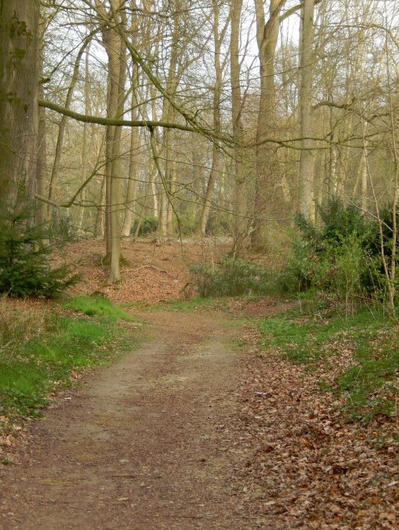 Diepenveen_Rande_Kuierroute_0170