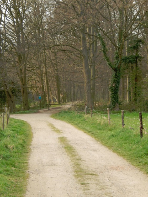 Diepenveen_Rande_Kuierroute_0179