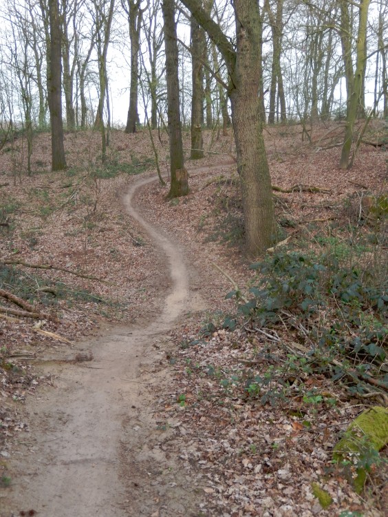 Diepenveen_Rande_Kuierroute_0180