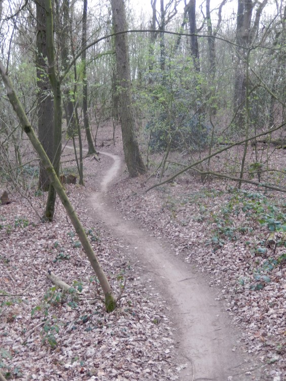 Diepenveen_Rande_Kuierroute_0181