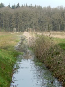 Diepenveen_Rande_Kuierroute_052