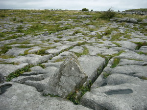 Cracks in the limestone...