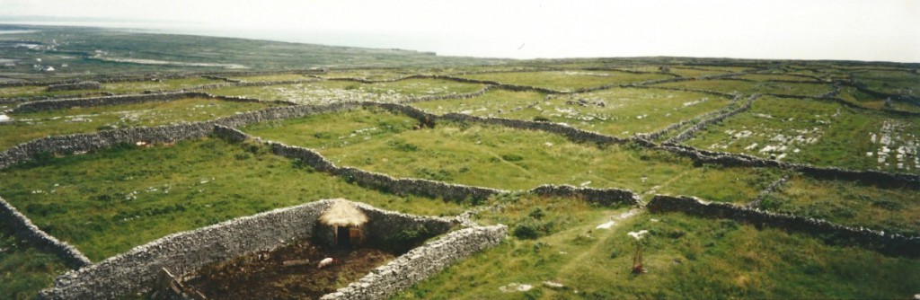 Dry stone walls of Aran...