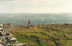 Close to the rocky cliffs' edge...