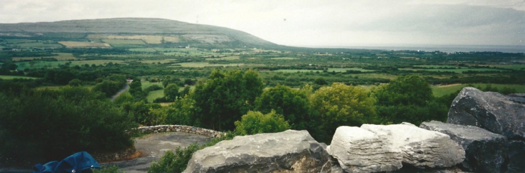 Some parts of The Burren are more green than others...