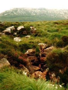 Connemara National Parc...