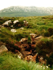 Connemara National Parc...