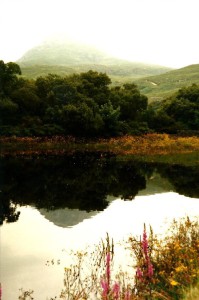 Diamond Hill mirrored in the water...