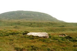 Big boulders in the bog...