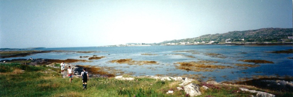 Green grass, blue sea and blue sky...