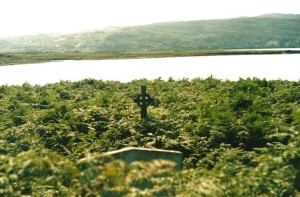 Cemetry with graves overgrown by plants...