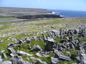 even more standing stones...