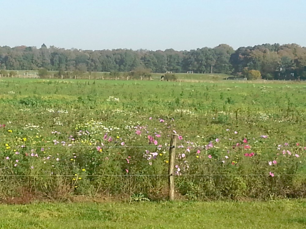 IndianSummer_Deventer_001