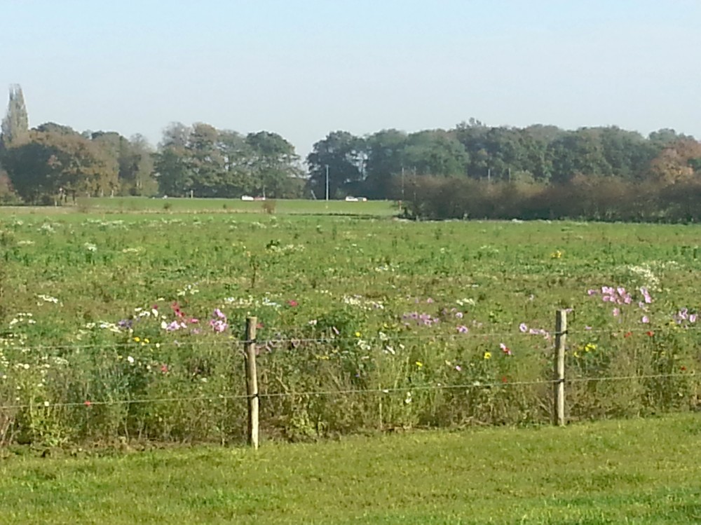 IndianSummer_Deventer_009