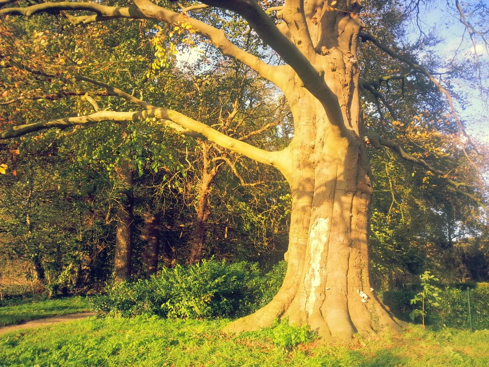 IndianSummer_Deventer_163