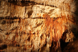 The Liberty Cave...