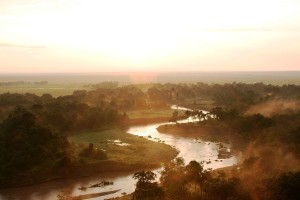 1024px-Serengeti_-_Stefan_Swanepoel_