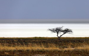 1280px-Dry_Etosha_Pan