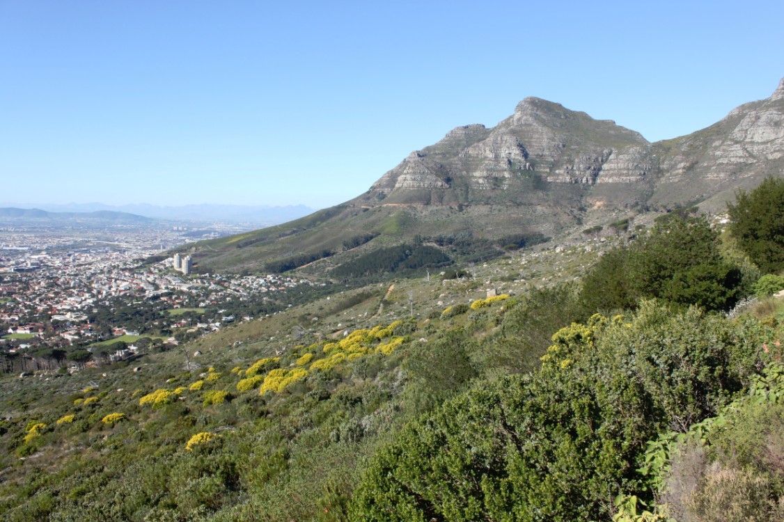 ZuidAfrika_Kaapstad_Tafelberg_2015_Img0001