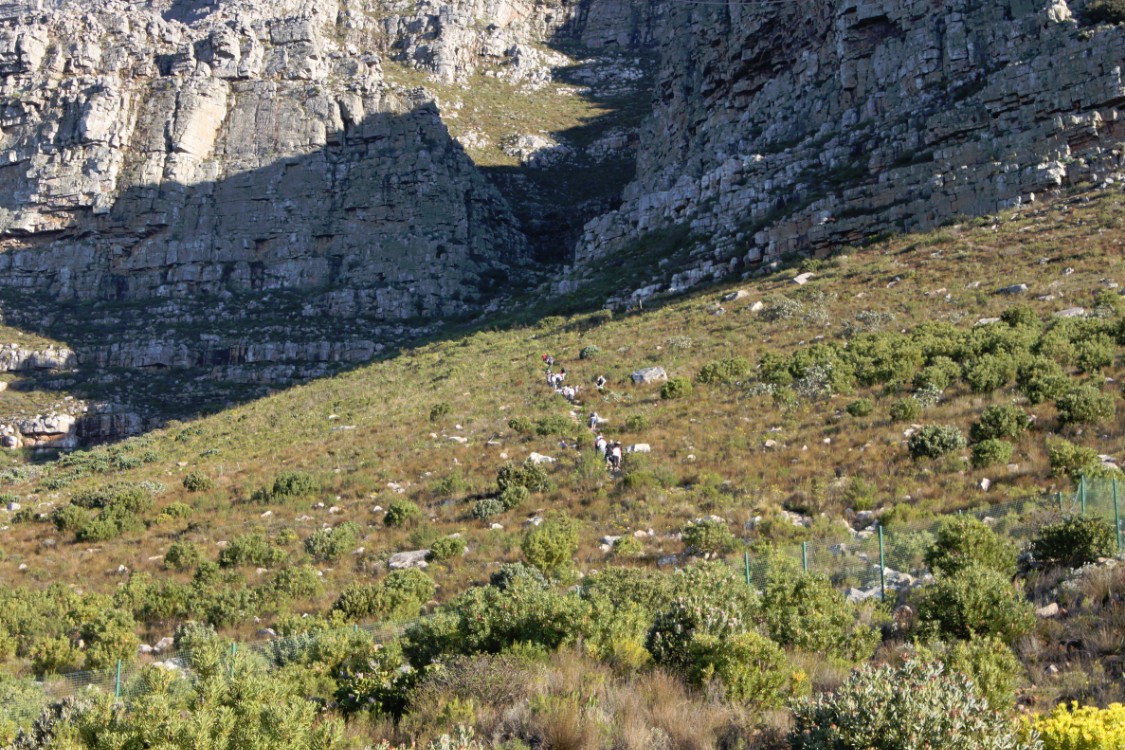 ZuidAfrika_Kaapstad_Tafelberg_2015_Img0004