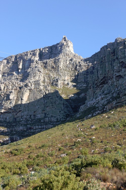 ZuidAfrika_Kaapstad_Tafelberg_2015_Img0005