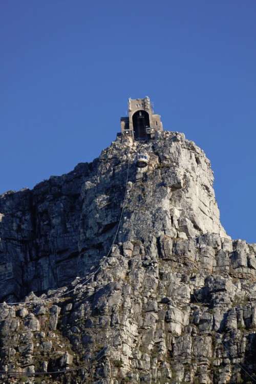 ZuidAfrika_Kaapstad_Tafelberg_2015_Img0007