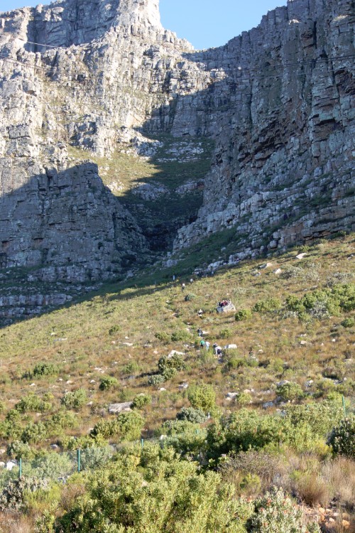 ZuidAfrika_Kaapstad_Tafelberg_2015_Img0009