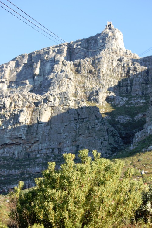 ZuidAfrika_Kaapstad_Tafelberg_2015_Img0011