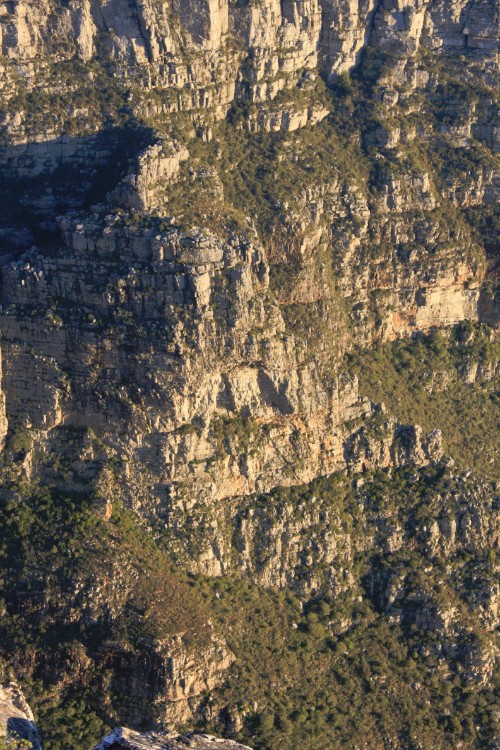 ZuidAfrika_Kaapstad_Tafelberg_2015_Img0026