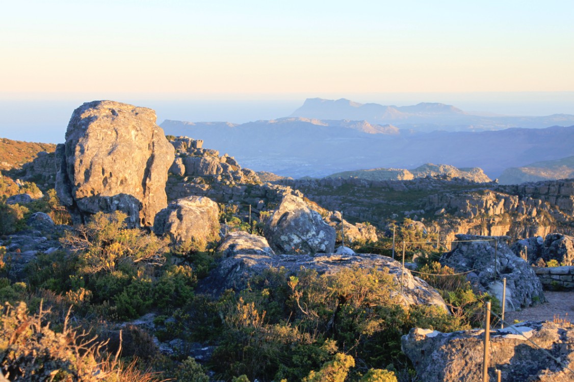 ZuidAfrika_Kaapstad_Tafelberg_2015_Img0063