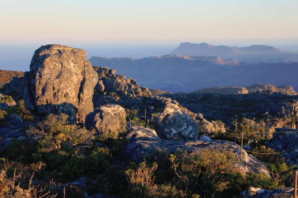 ZuidAfrika_Kaapstad_Tafelberg_2015_Img0064