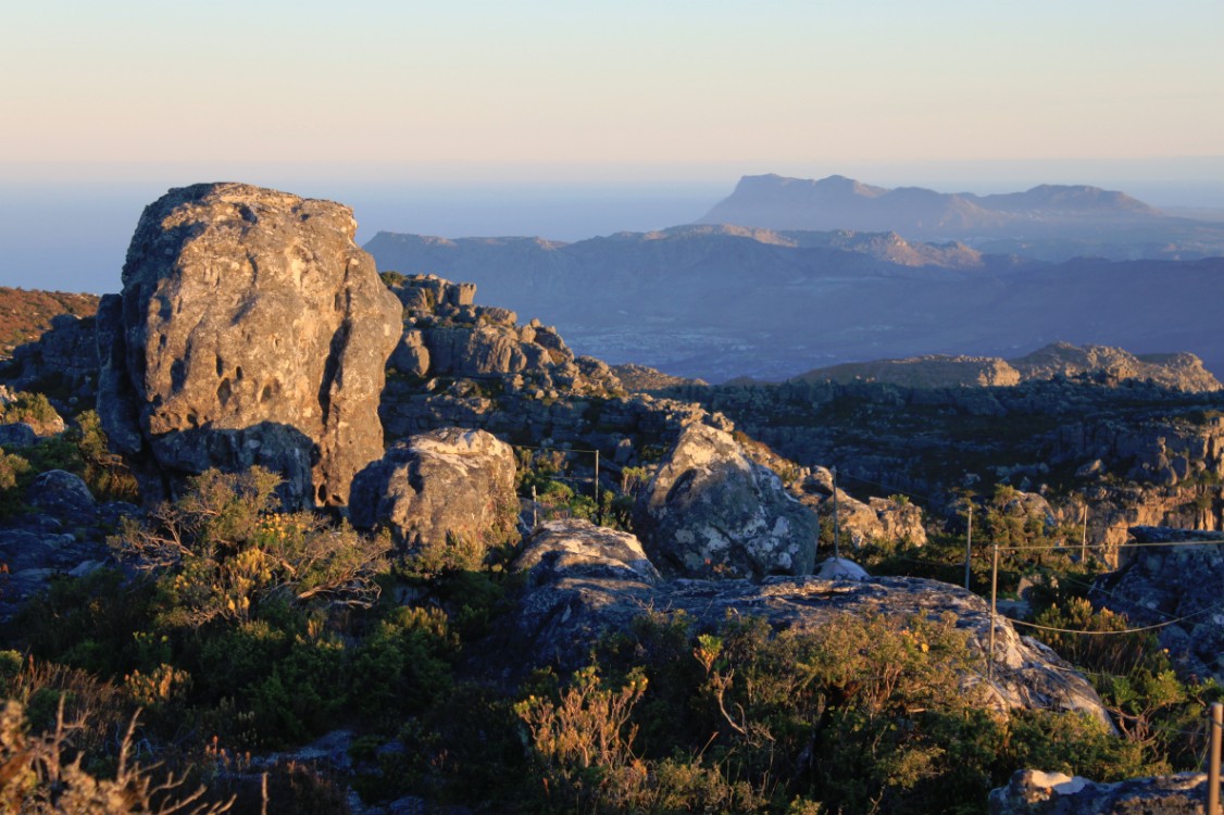 ZuidAfrika_Kaapstad_Tafelberg_2015_Img0064