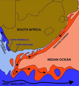 "Benguela and Agulhas Currents 2" by Oggmus - Own work. Licensed under CC BY-SA 4.0 via Commons - https://commons.wikimedia.org/wiki/File:Benguela_and_Agulhas_Currents_2.jpg#/media/File:Benguela_and_Agulhas_Currents_2.jpg