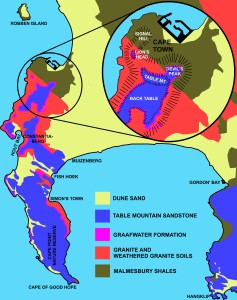 "Geology of Cape Peninsula 1" by Oggmus - Own work. Licensed under CC BY-SA 3.0 via Commons - https://commons.wikimedia.org/wiki/File:Geology_of_Cape_Peninsula_1.jpg#/media/File:Geology_of_Cape_Peninsula_1.jpg