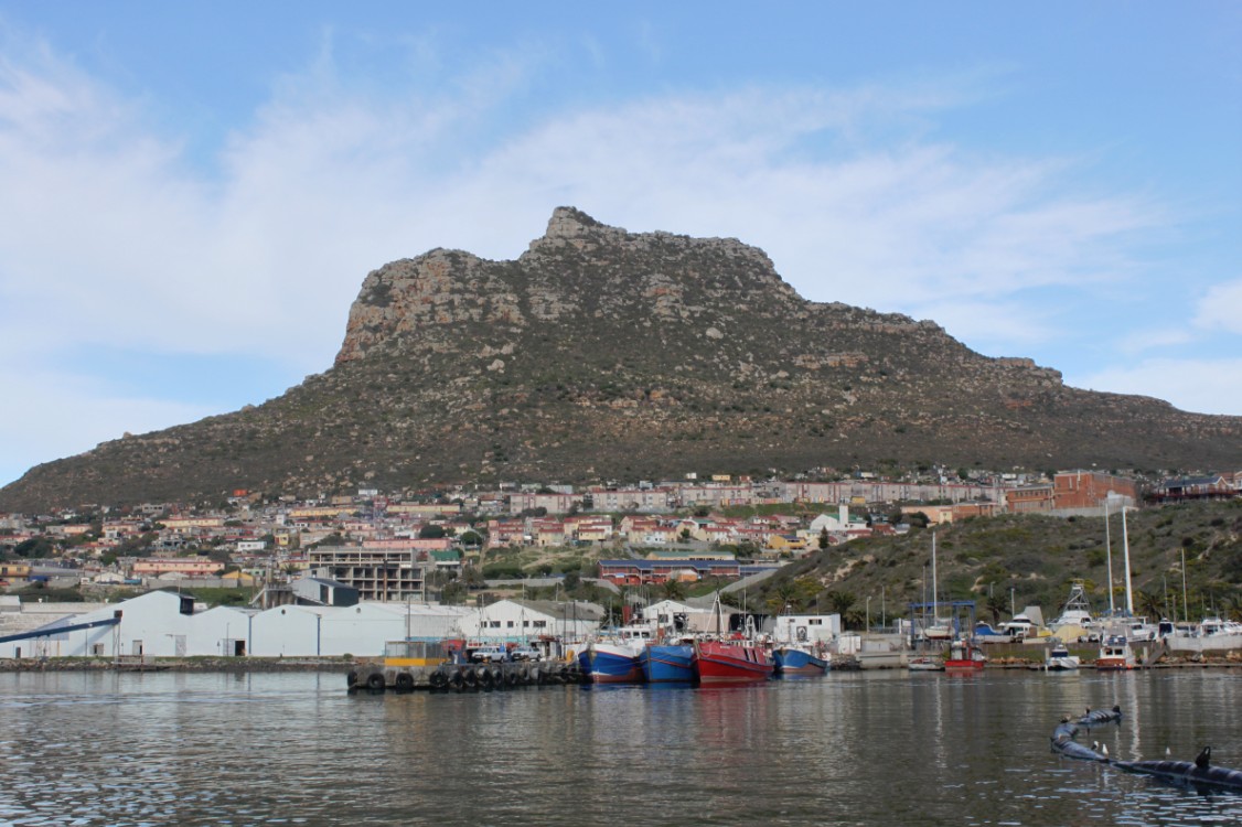 ZuidAfrika_Kaapstad_Kaap_2015_Img0002