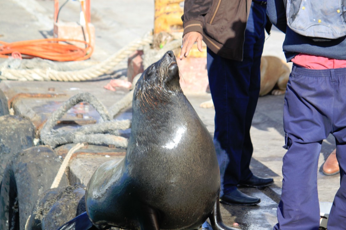 ZuidAfrika_Kaapstad_Kaap_2015_Img0058