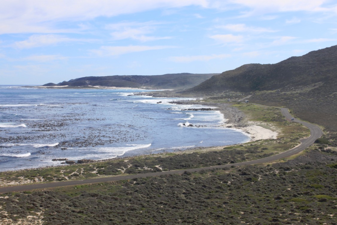 ZuidAfrika_Kaapstad_Kaap_2015_Img0138