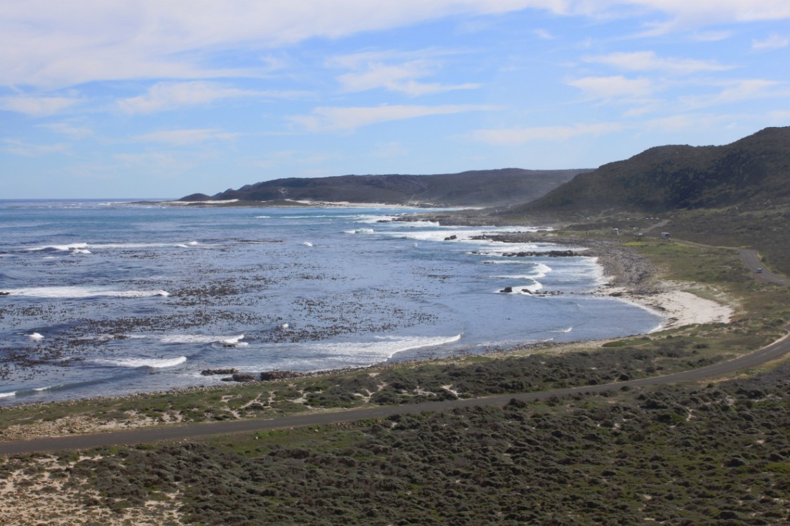 ZuidAfrika_Kaapstad_Kaap_2015_Img0139