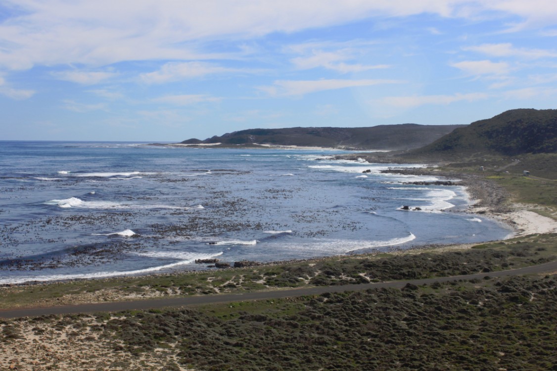 ZuidAfrika_Kaapstad_Kaap_2015_Img0140