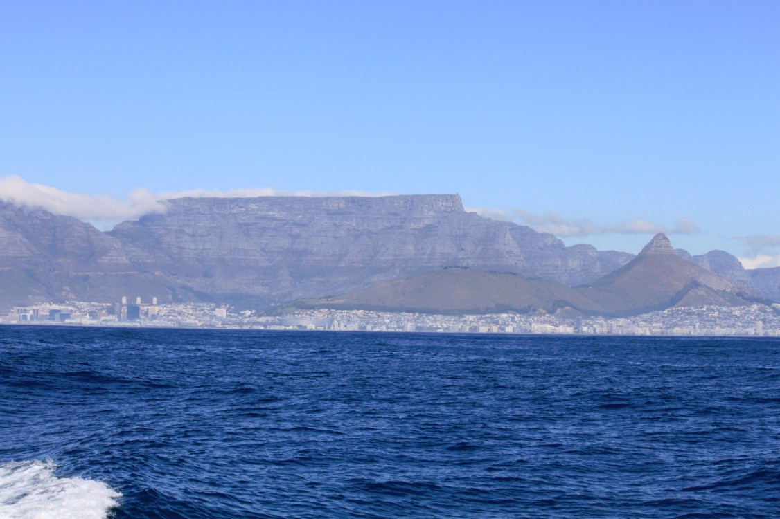 ZuidAfrika_Kaapstad_Robbeneiland_2015_Img0026