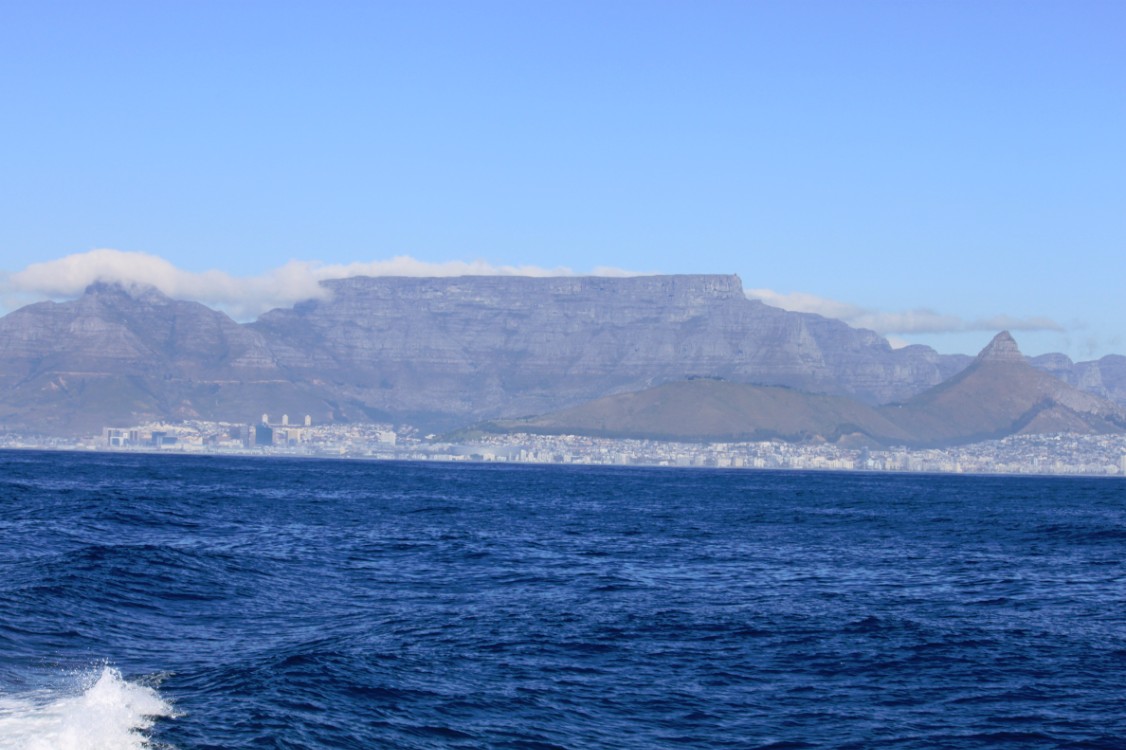 ZuidAfrika_Kaapstad_Robbeneiland_2015_Img0028