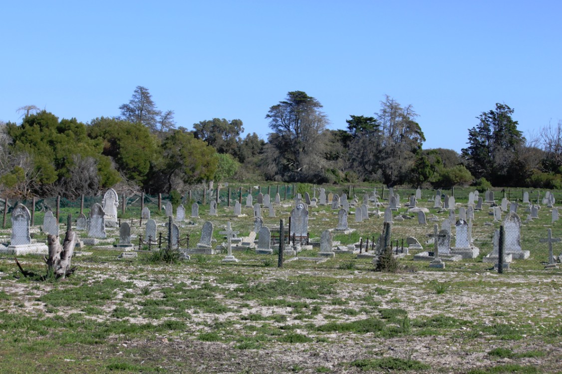 ZuidAfrika_Kaapstad_Robbeneiland_2015_Img0044