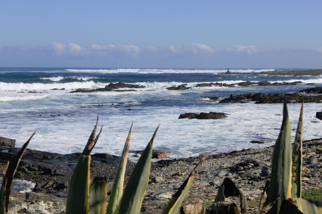 ZuidAfrika_Kaapstad_Robbeneiland_2015_Img0052