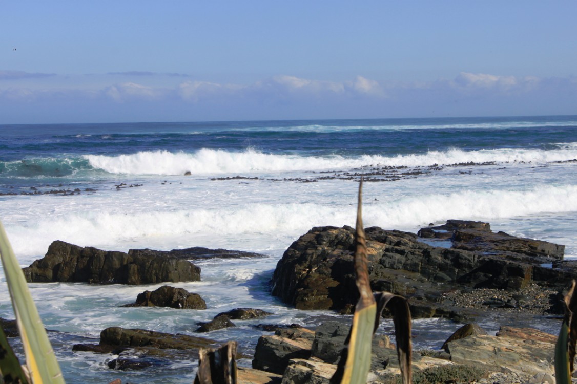 ZuidAfrika_Kaapstad_Robbeneiland_2015_Img0054