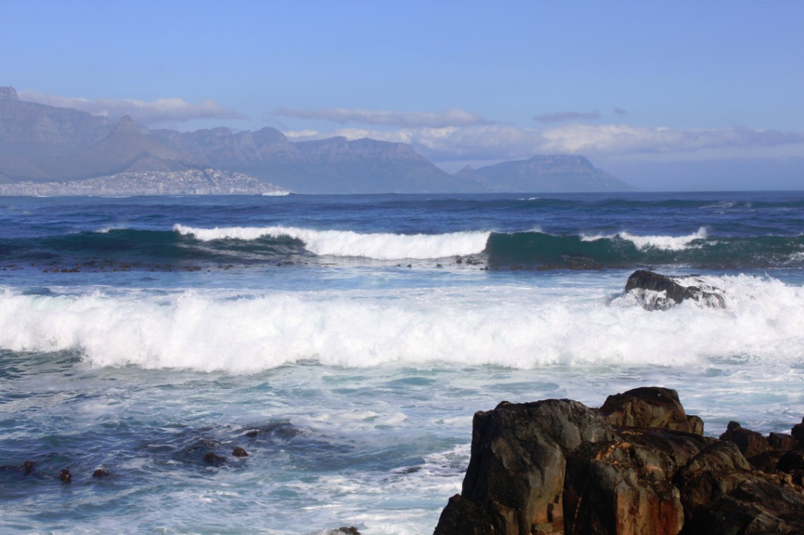 ZuidAfrika_Kaapstad_Robbeneiland_2015_Img0075